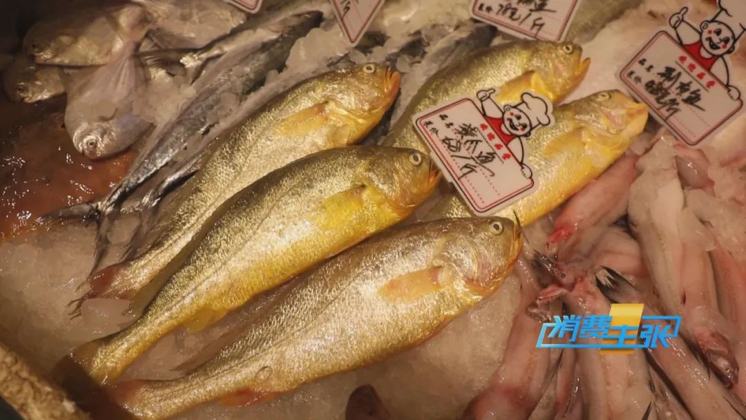 霞浦小众海鲜,霞浦吃海鲜地方推荐