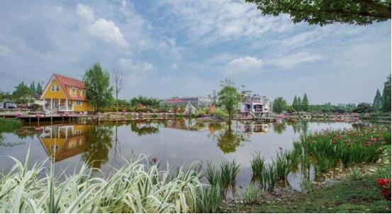 那片紫薇花海,点亮花语和盛的乡村振兴路