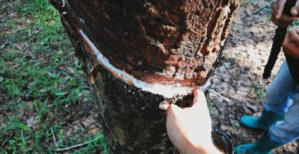 SAWALI我们的品牌我们的情怀