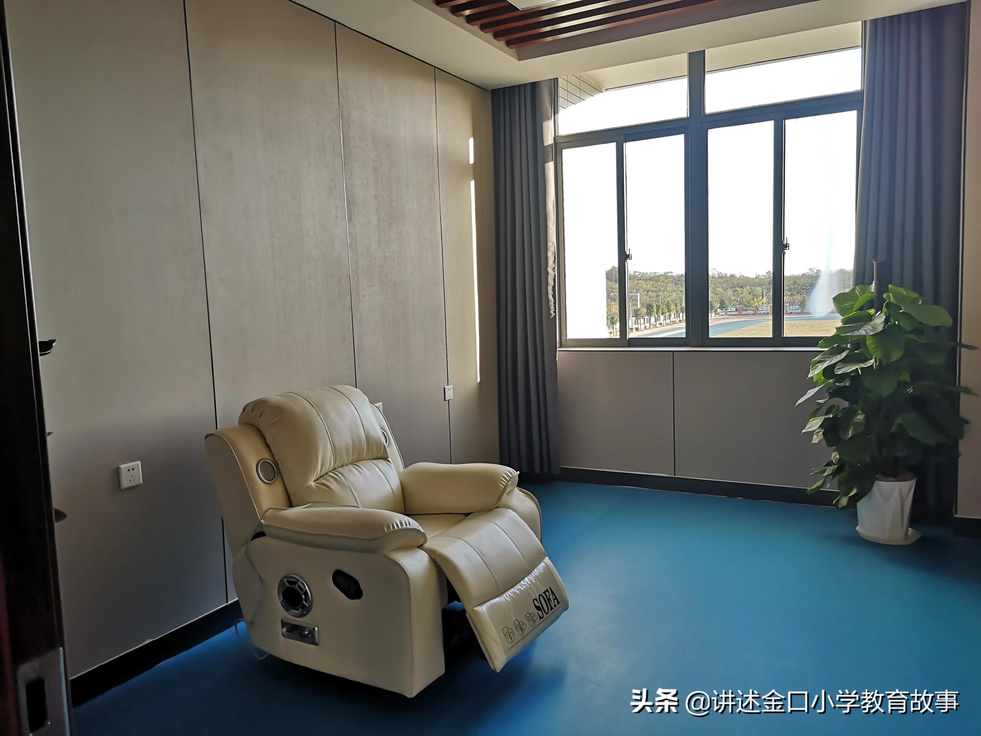 心理健康教育示范校评估自评报告,心理健康示范校验收标准