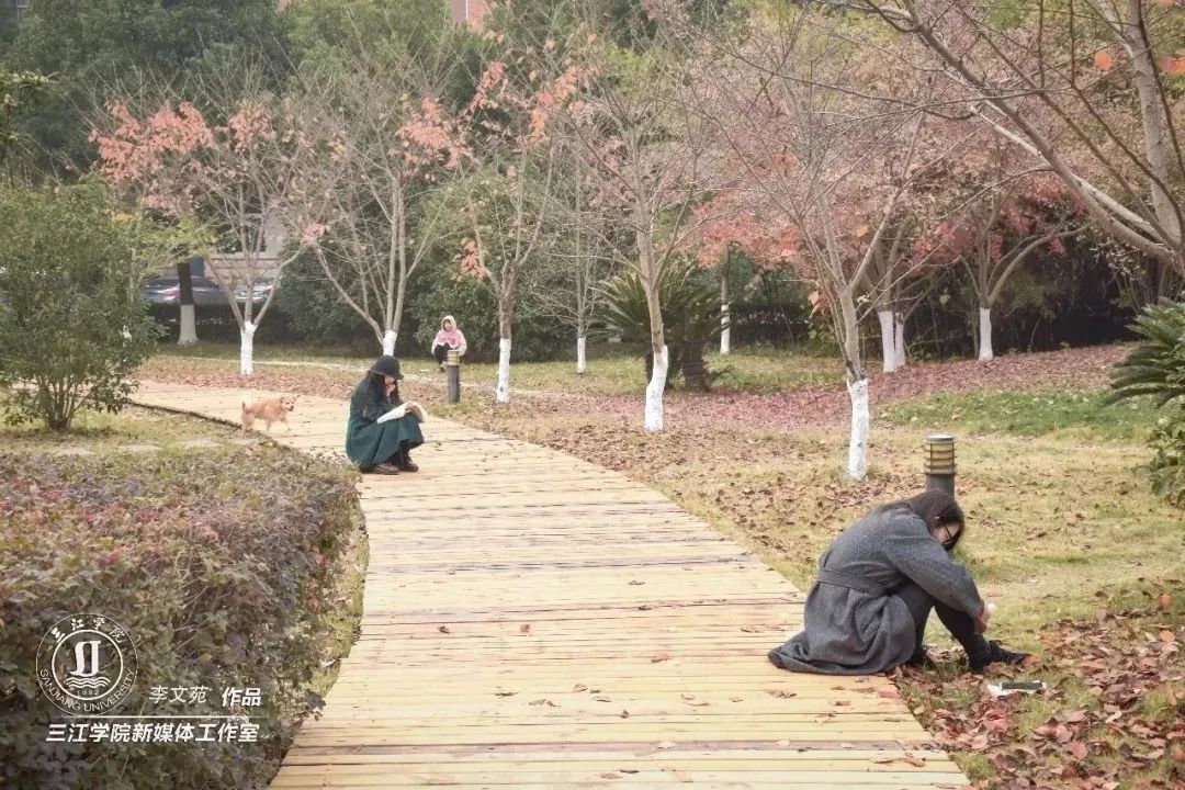 三江学院江苏专业,江苏三江学院录取分数线