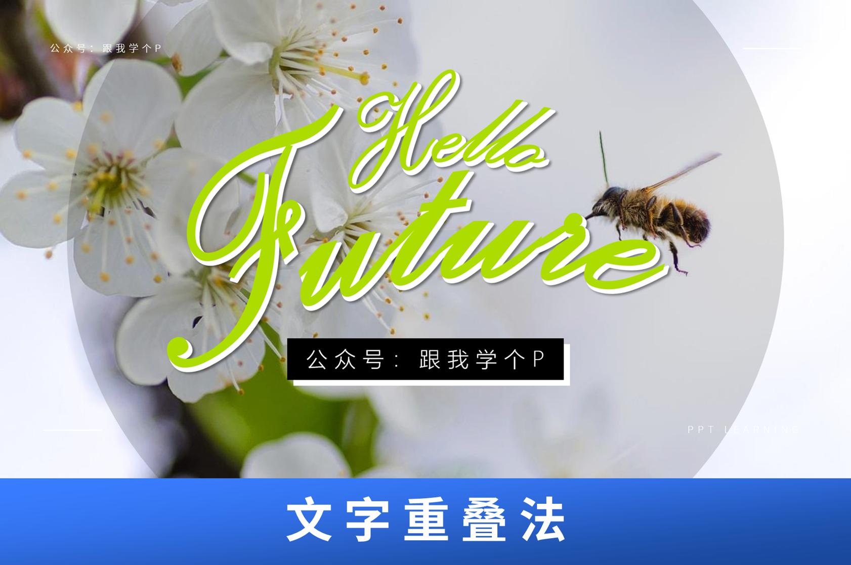 ppt文字别人看不见,ppt文字讲解图标看不见