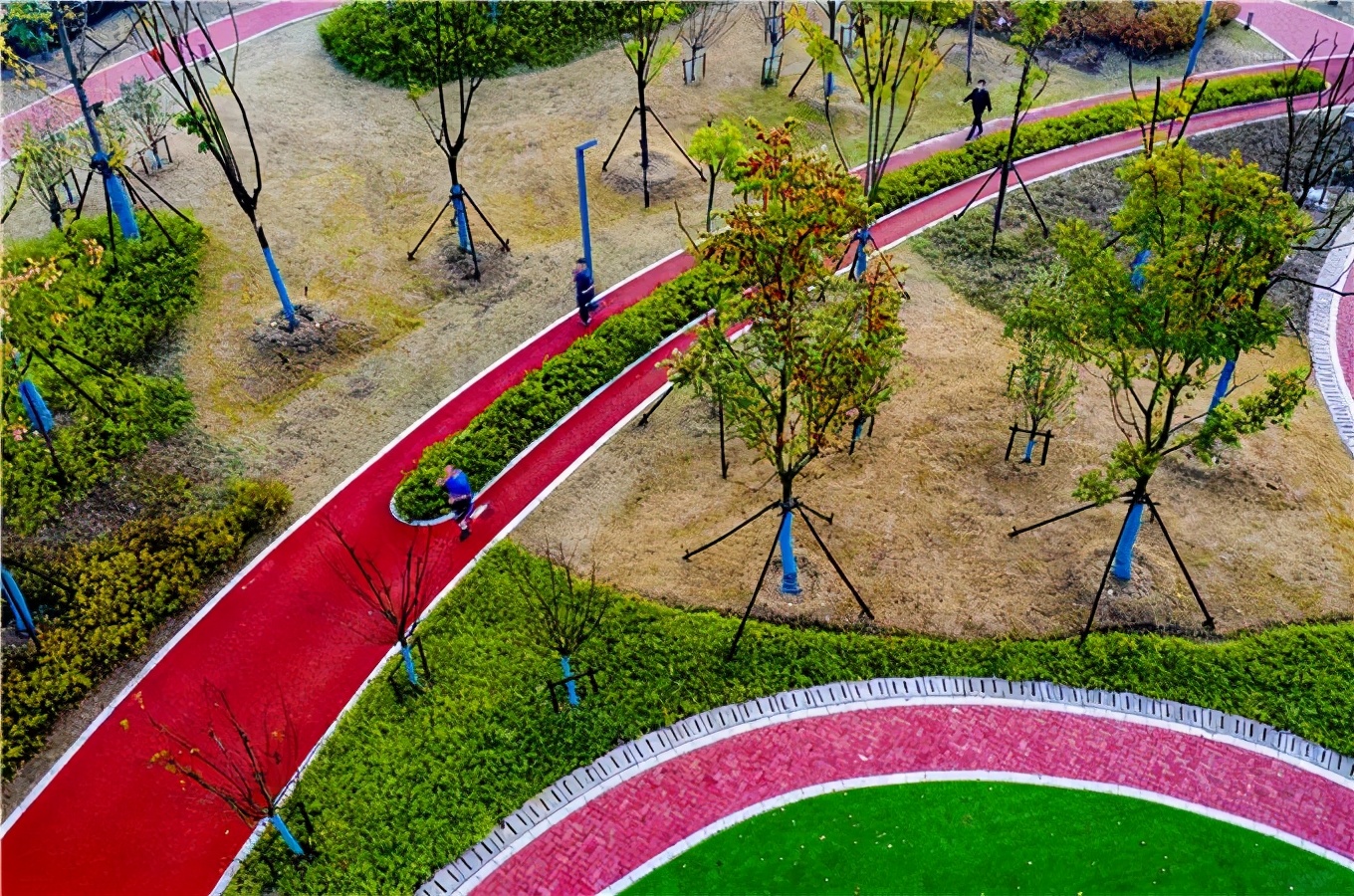 藏不住了是什么梗,藏不住了武清宝藏赏荷地全公开