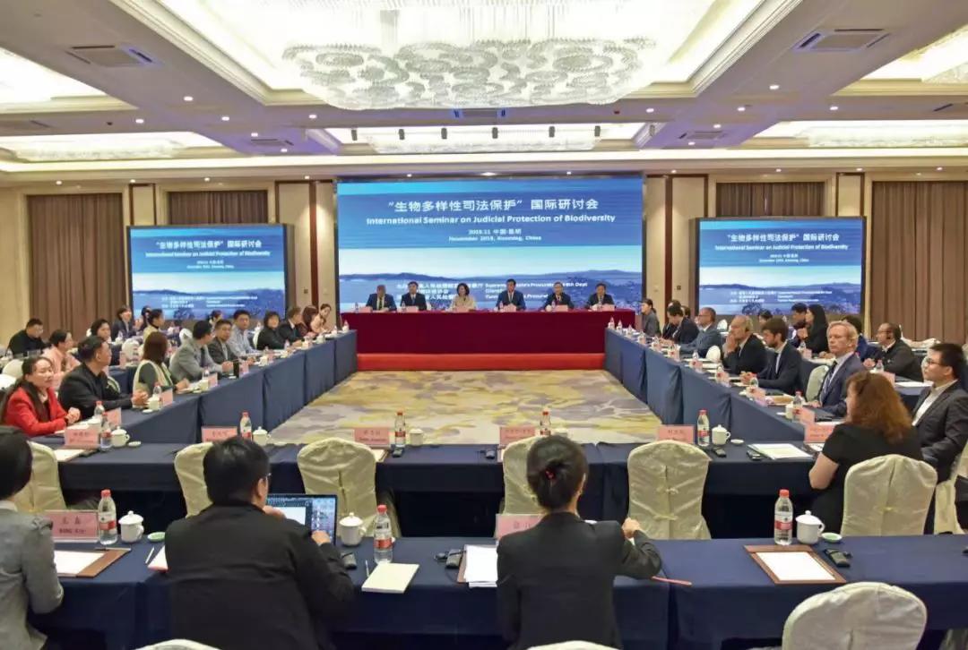 【申捡:转发】离野生动物远一点!检察机关出手,保护生物多样性