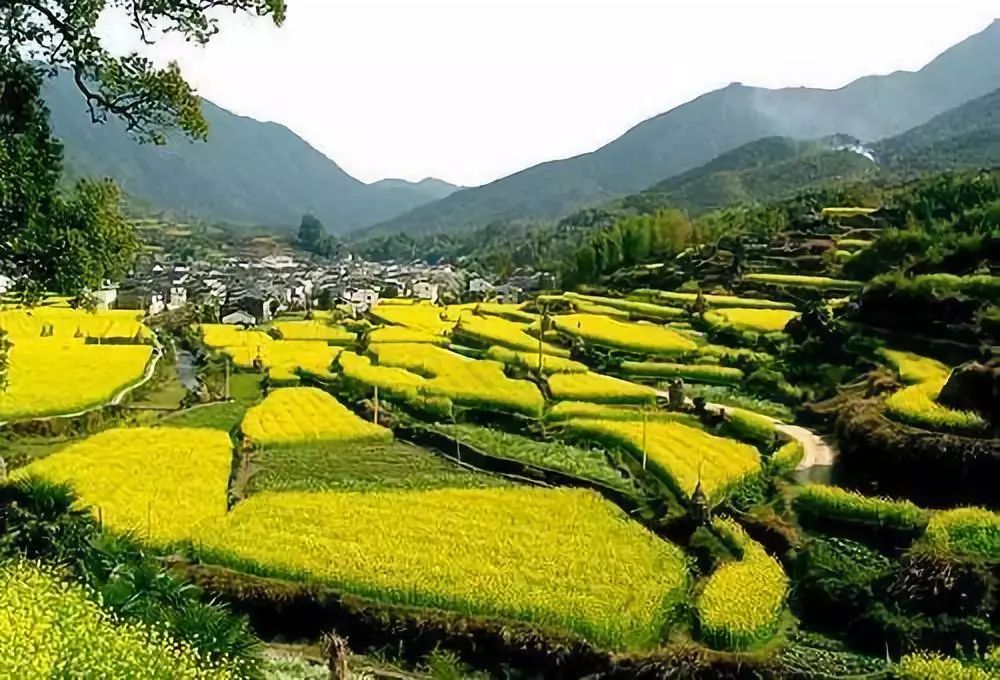 涯系客家人，涯爱转梅州了