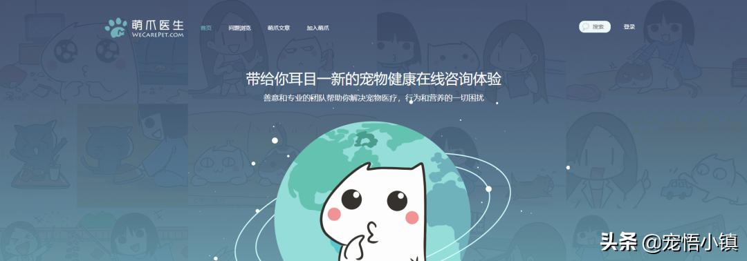 国外最热门宠物网站排名榜,宠物网站排行榜前十名