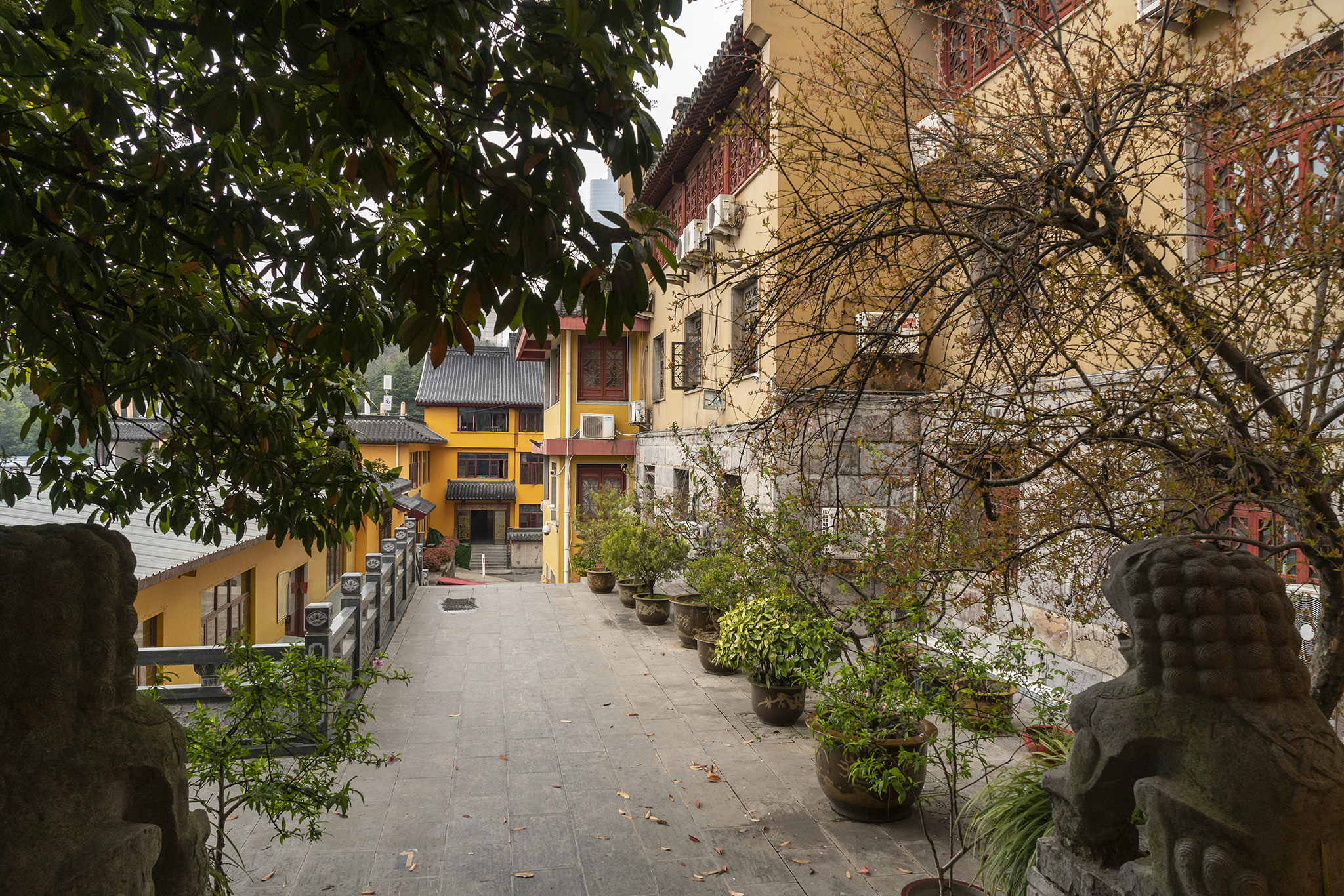 南京的栖霞寺和鸡鸣寺,南京之行鸡鸣寺