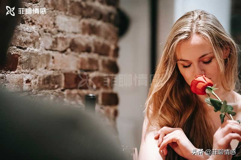 每个人都应该从企鹅(是的,企鹅)身上学到15堂爱情课