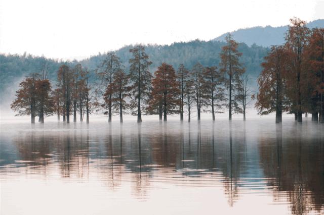 7个家庭旅行神器,亲子旅行用品必备神器