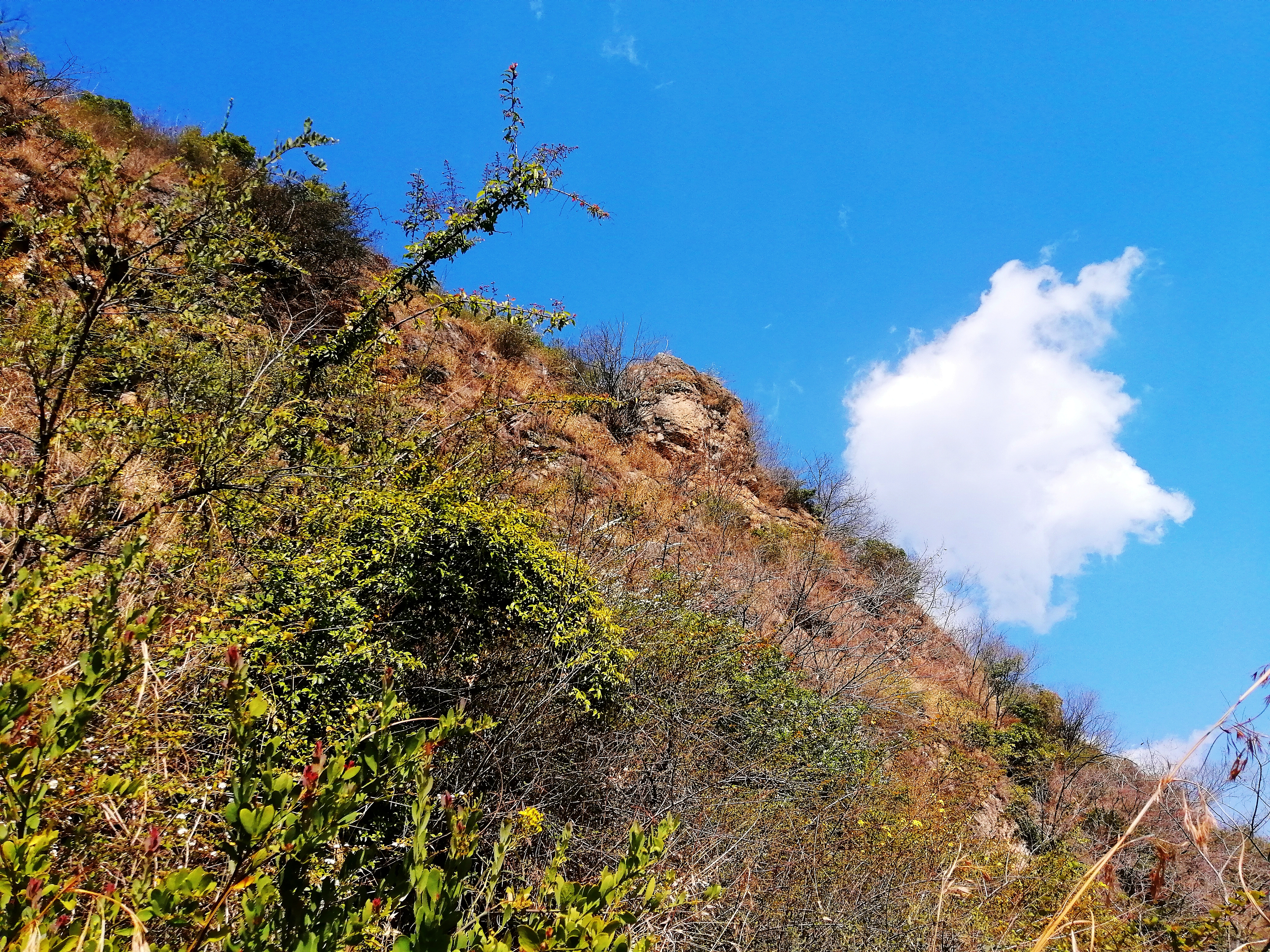 惊喜？悲哀？昆明三环徐霞客探寻过的两个溶洞，还是380年前样子