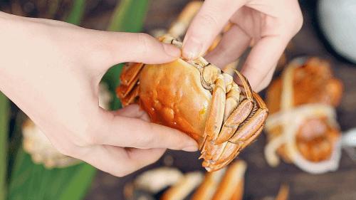 秦皇岛海浪花天桥海鲜批发市场,秦皇岛海浪花批发市场在哪