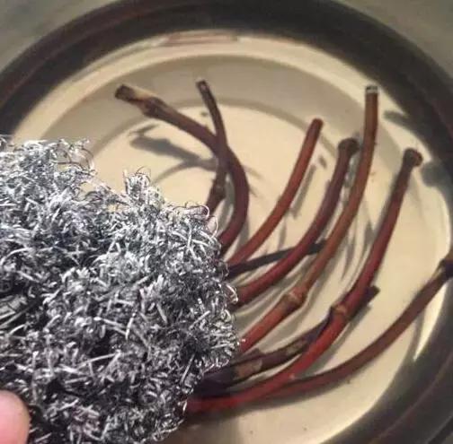 等疫情结束了我想回趟老家,等疫情结束了我想回安徽