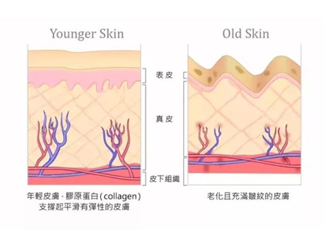关于泪沟告诉你三个绝招,新手好上手的遮泪沟方法