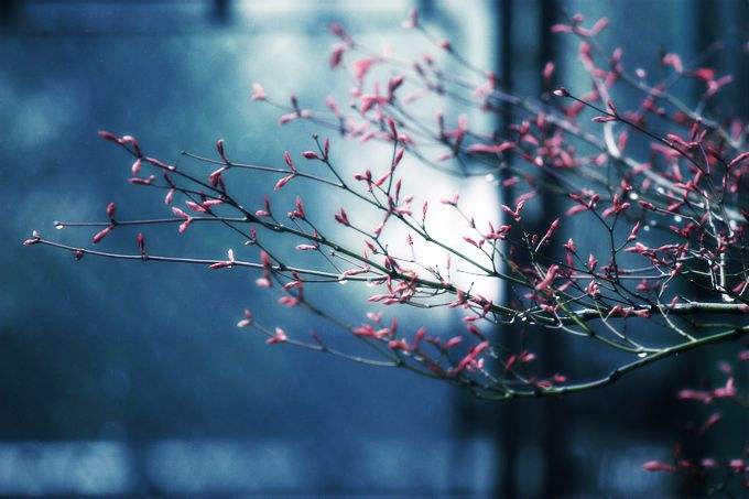 蘭谷春深,文思泉涌!