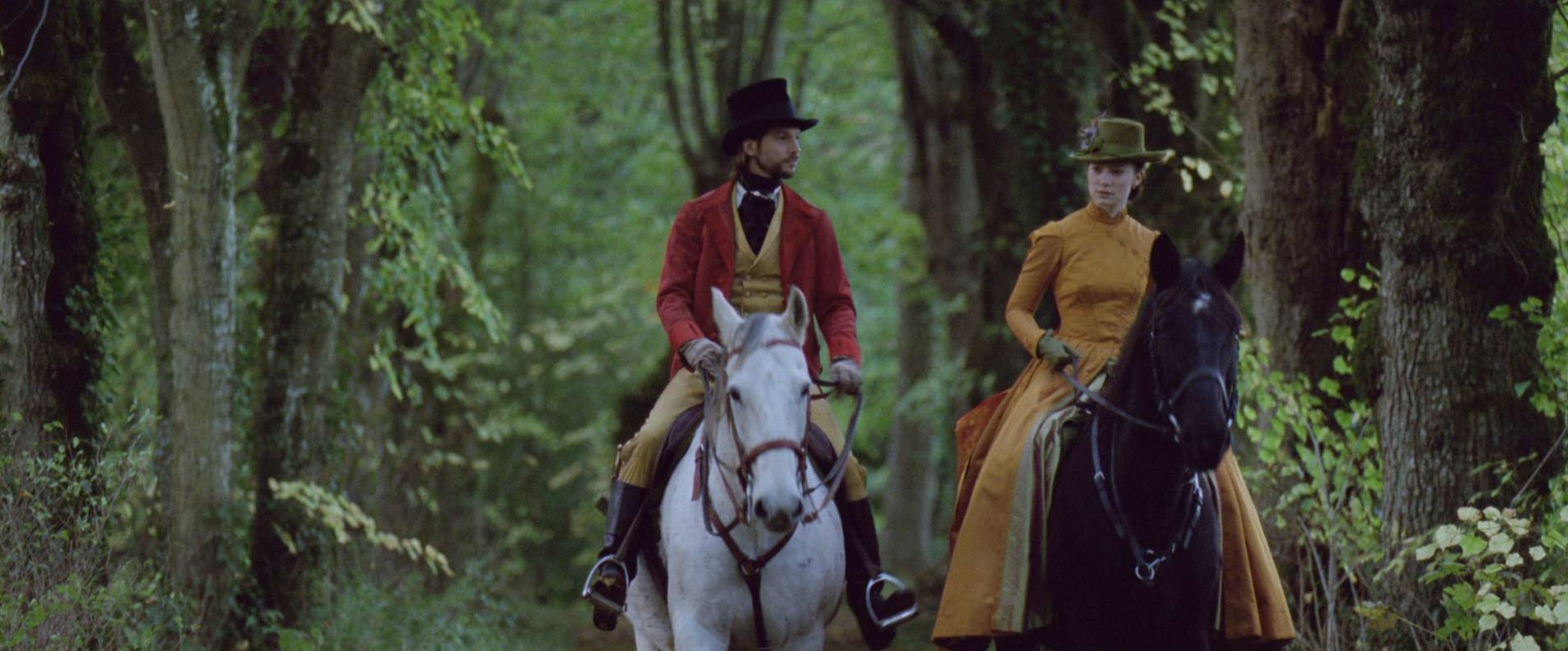 包法利夫人哪个译本最好,包法利夫人有书快看