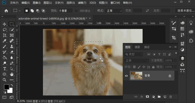 photoshop快捷键大全图解,photoshop快捷键对照表格大全