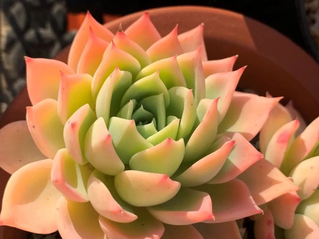 禁足的日子收获颇多,禁足