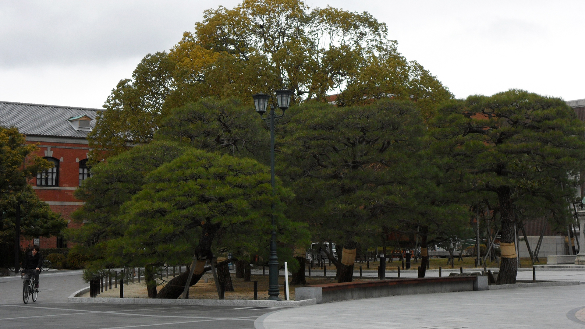 日本博士留学费用一览表,留学各个国家费用排名