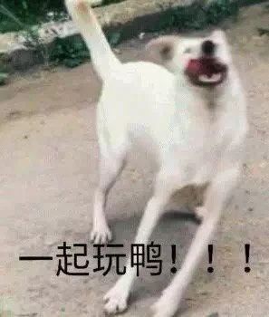 漂亮姐姐可以带我打游戏吗表情包,简单可爱的表情包仙女姐姐