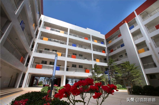 郑州外国语中学初中实验视频,郑州外国语初中和郑州实验外国语