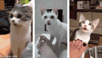 彻底解决脚臭的小妙招,夏天脚臭太尴尬教你一招