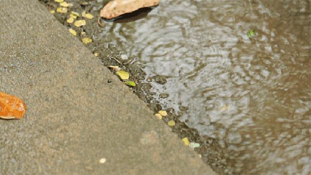 天热有脚气怎么去除脚臭,顽固脚气脚癣怎么根治