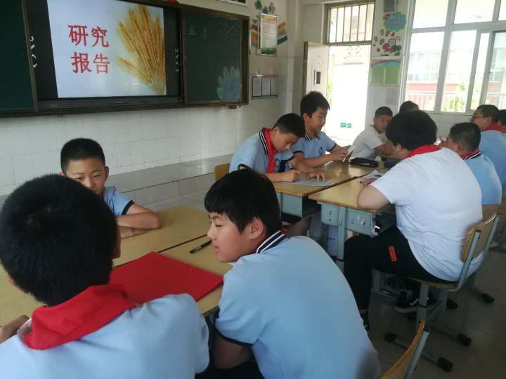 农耕文化研学插秧,农耕文化研学