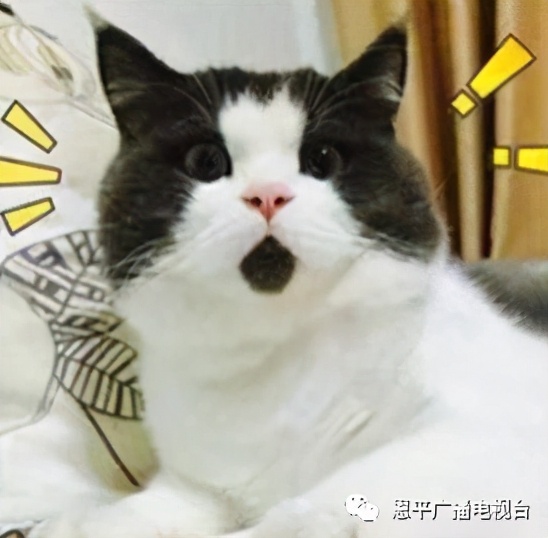 恩平未来一个月的天气,恩平天气走向怎样了今天