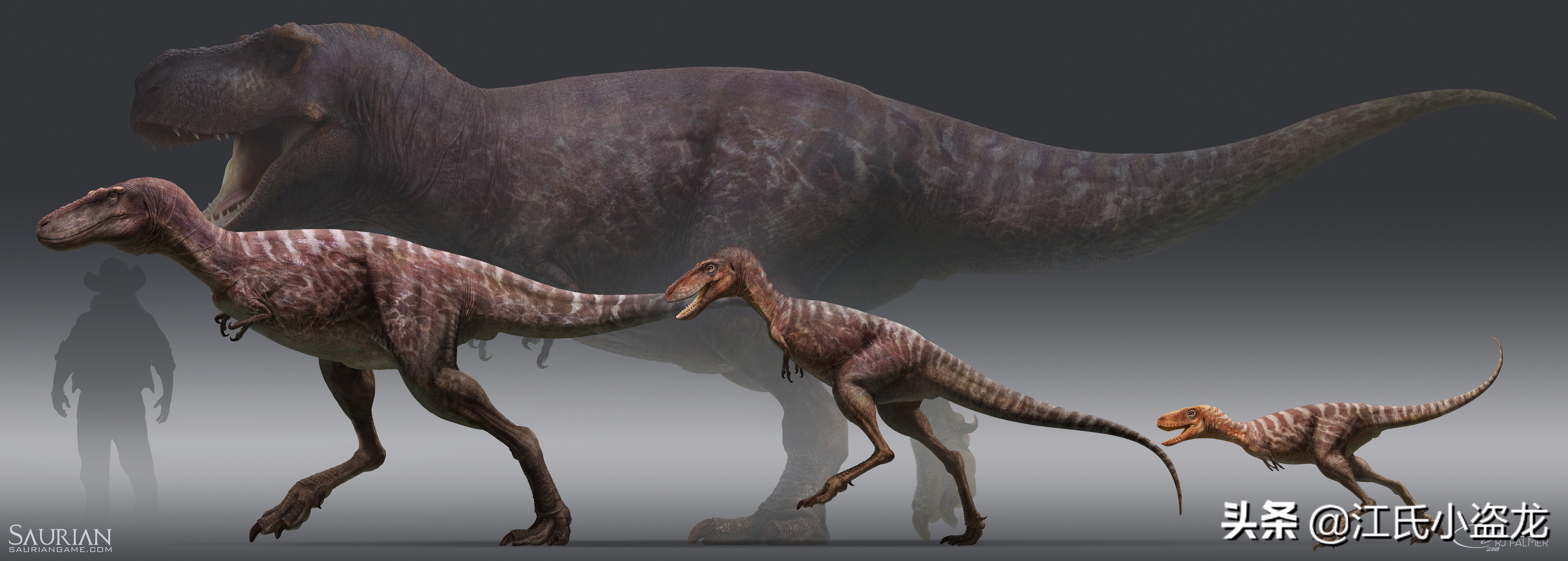 霸王龙的一生,霸王龙最关键的两个阶段