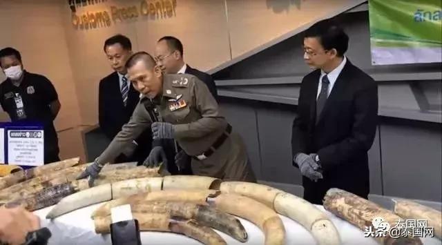 泰国打击象牙交易见成效，被CITES移出严重国家名单