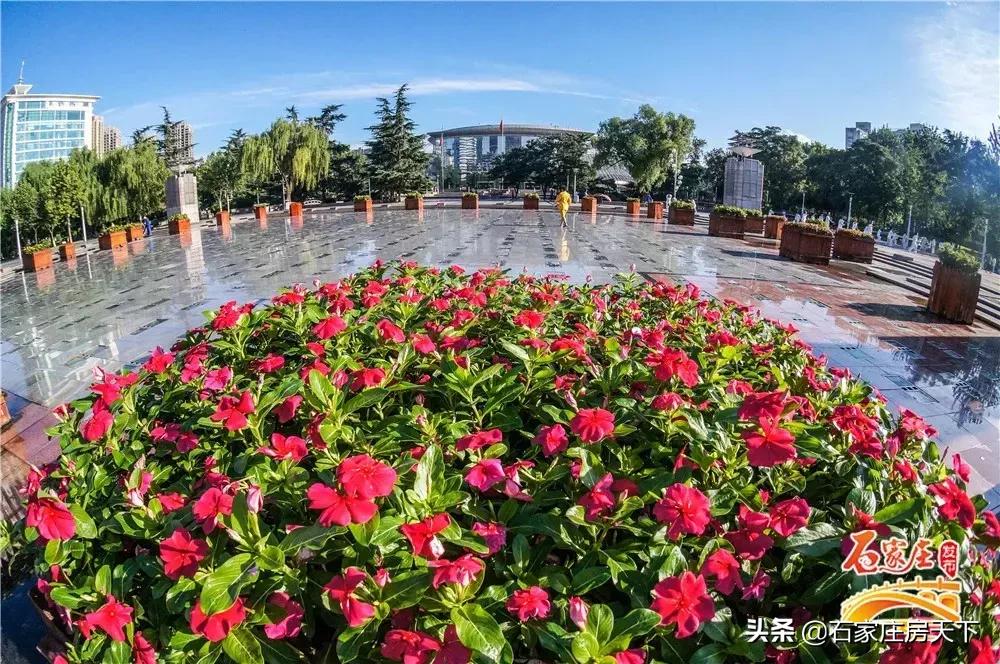 石家庄七夕一日游最佳去处,七夕适合情侣去的地方石家庄