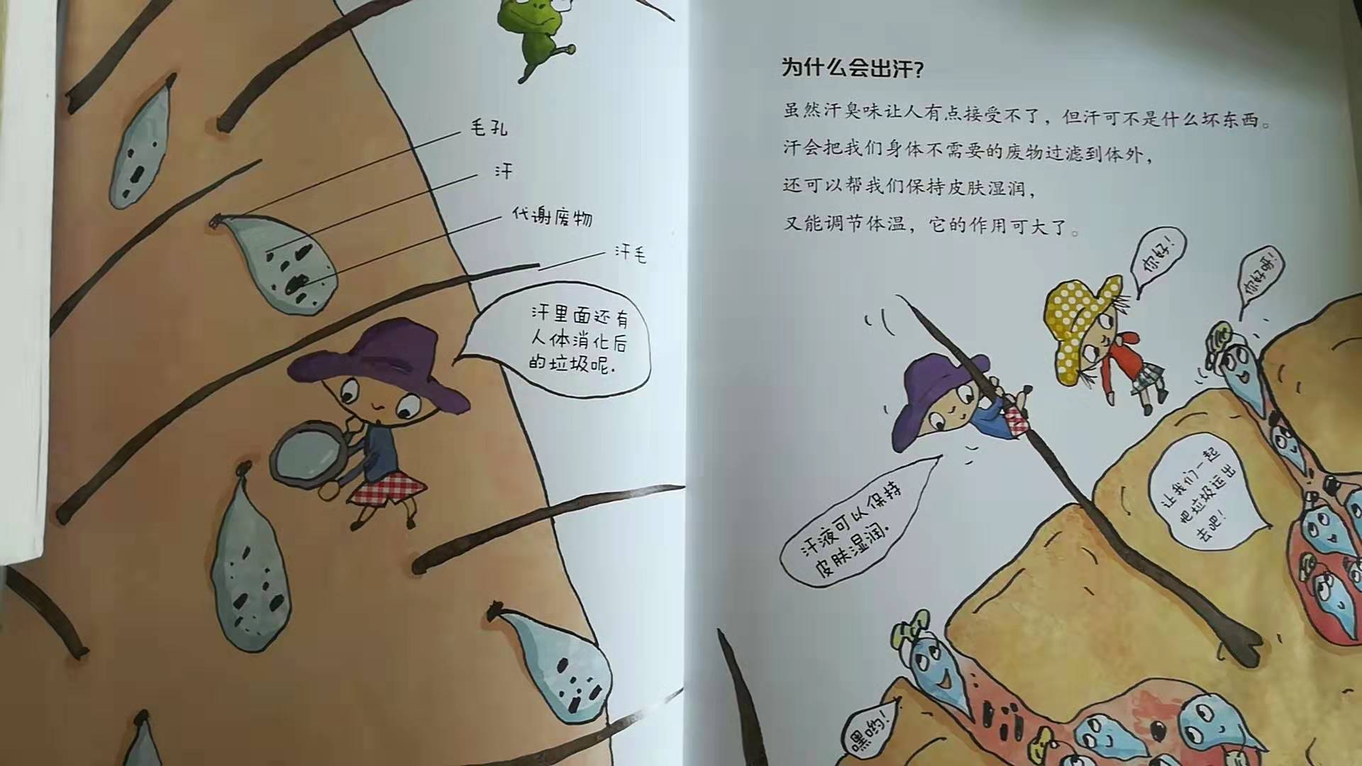 为什么天热流汗有酸味,为什么天热出汗是凉的