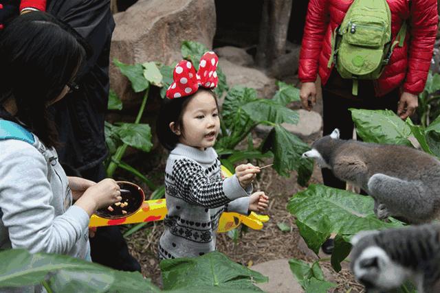 「国庆欢乐提前购」早买优惠！佛山5A长鹿休博园双人套票158元起