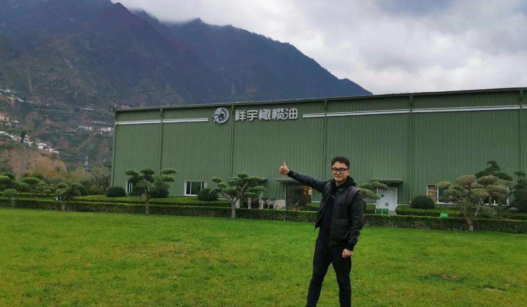 中国国际金奖橄榄油,中国橄榄油获奖