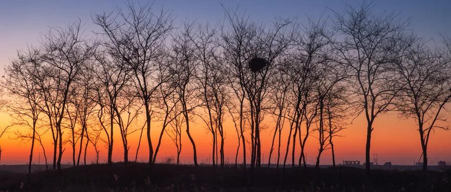 靠谱的中医院排名,靠谱的中医医院
