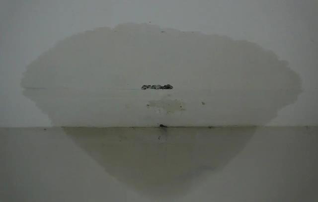 家里用轻质隔墙板,家里用混凝土墙