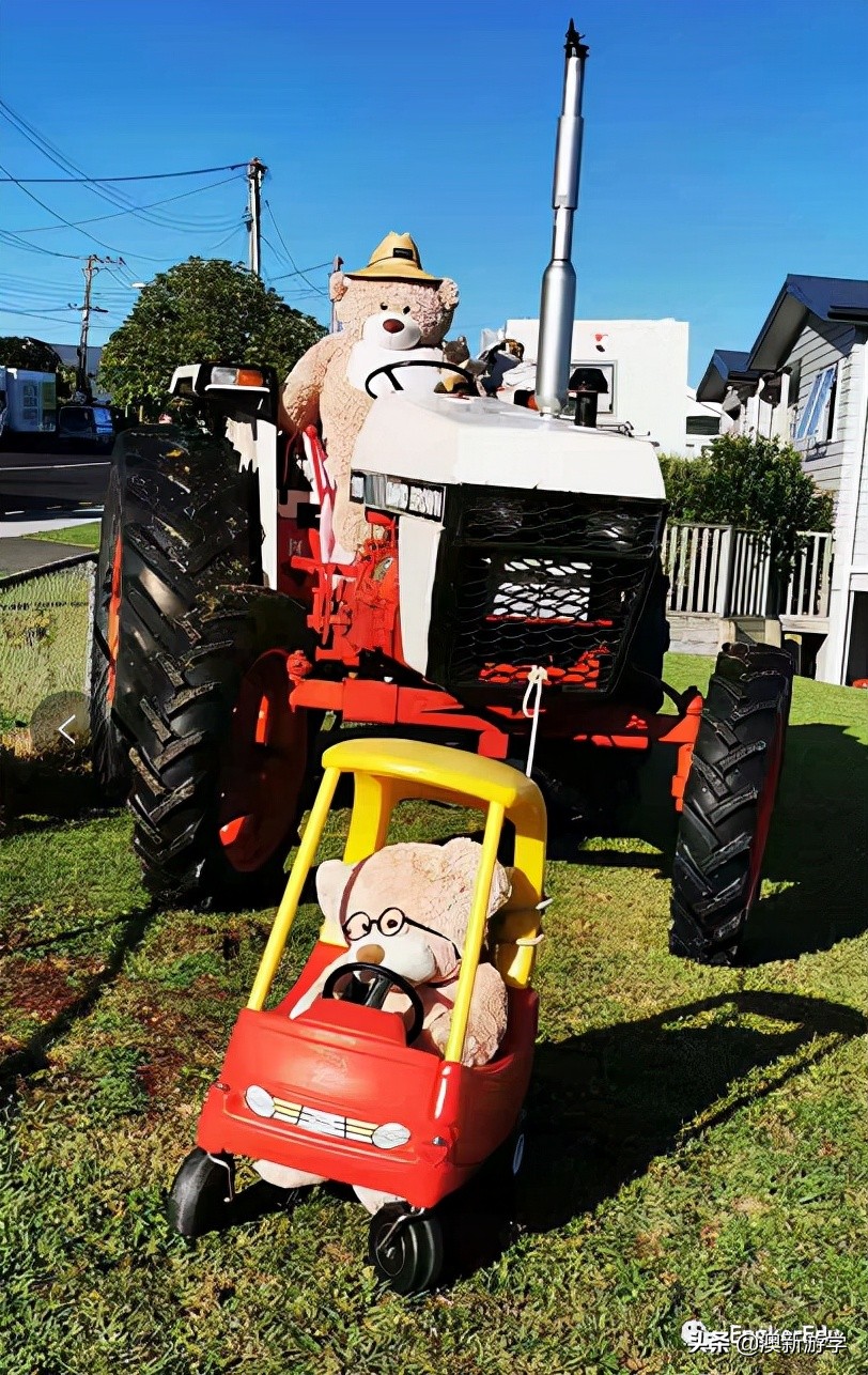 封城期间，玩偶一家的生活大揭秘
