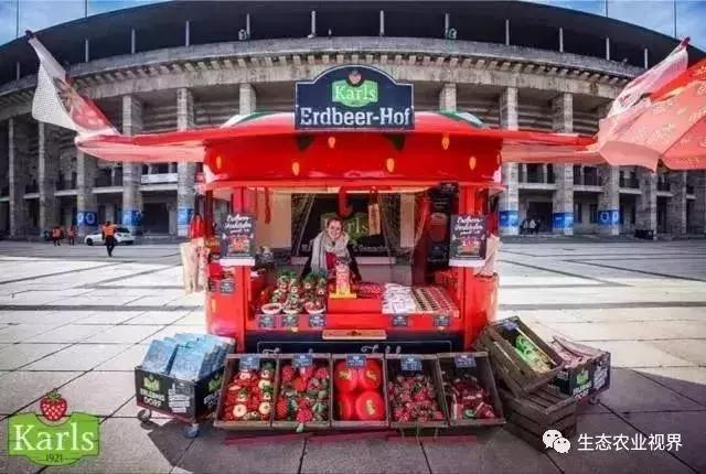用一颗草莓吸引5百万游客,开5家主题乐园、4家超市、300个草莓屋