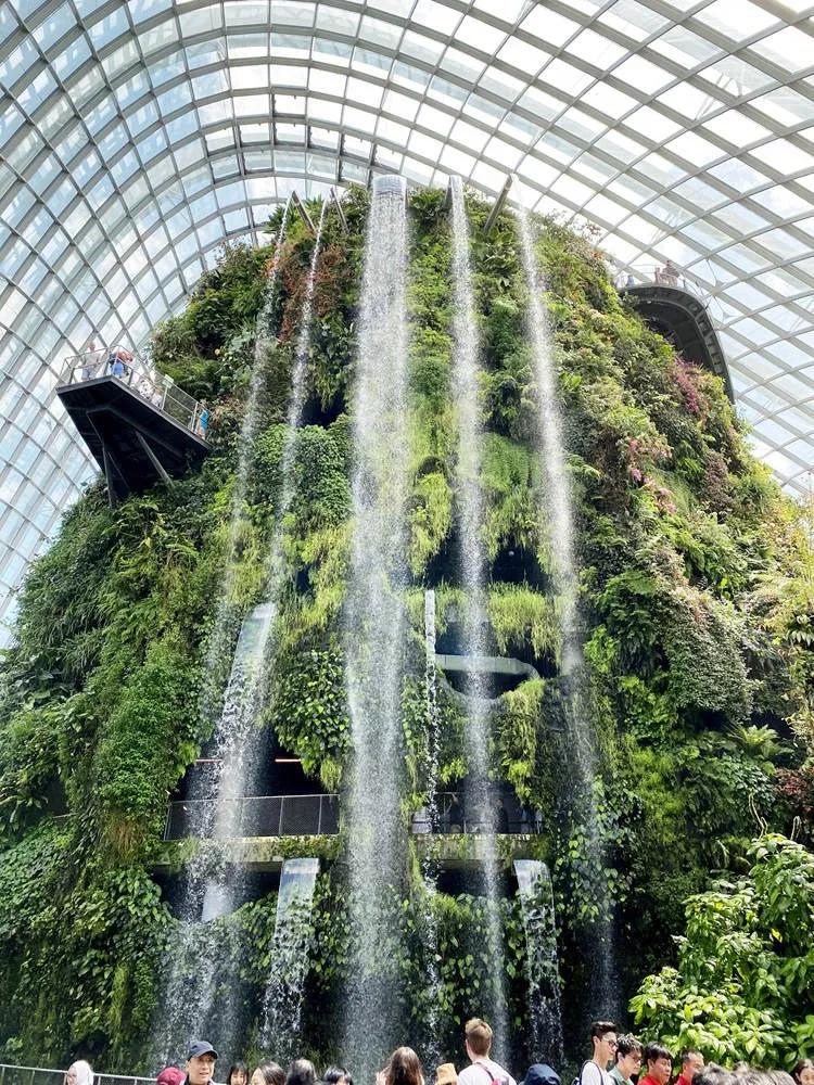 疫情期间去埃及旅游的亲历,疫情期间从深圳直飞洛杉矶体验