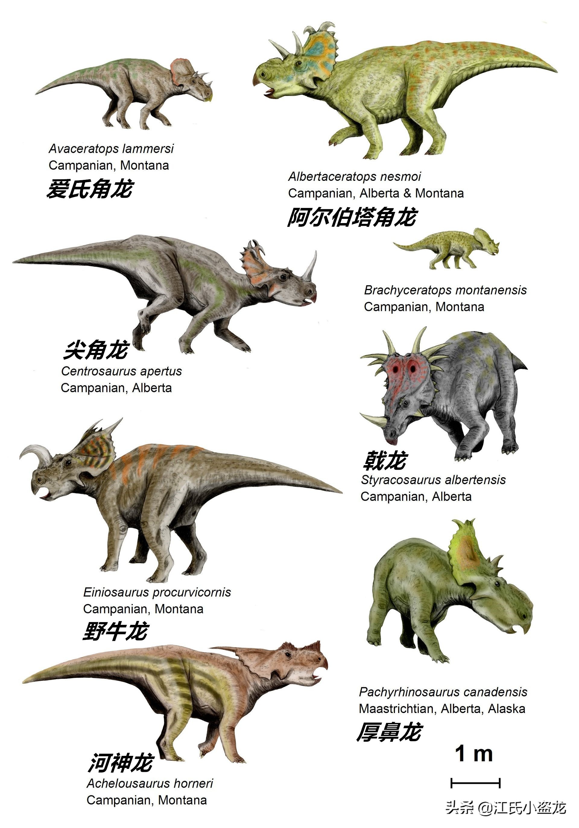 长得跟其他恐龙不一样的恐龙,盘点恐龙界最奇葩的恐龙
