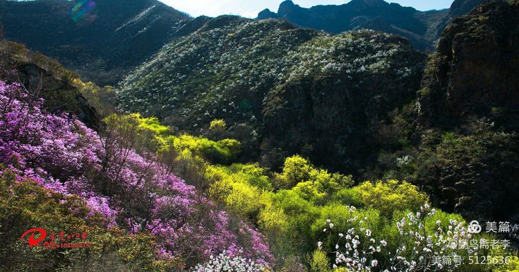 赤峰日报蒙古文,赤峰日报2005