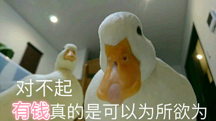 双12都剁手了吗,双12还准备剁手吗