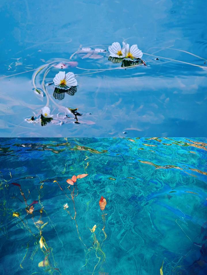 4月份适合去云南哪旅游,4月份云南旅游攻略最新