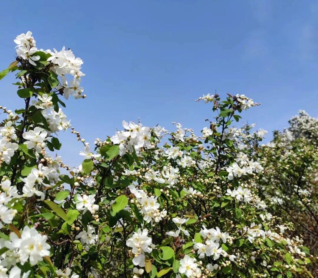 西安小众旅游,西安周边旅游3-4天攻略最佳线路