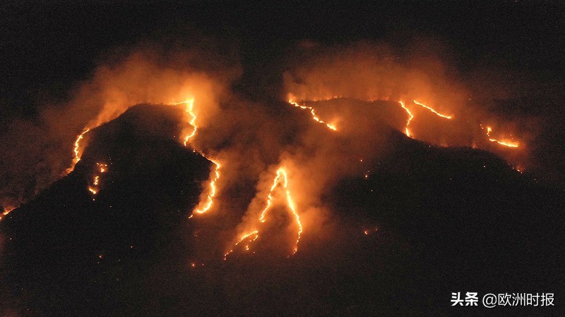 全欧了:法国巴西“骂战”不断竟是为了钱?