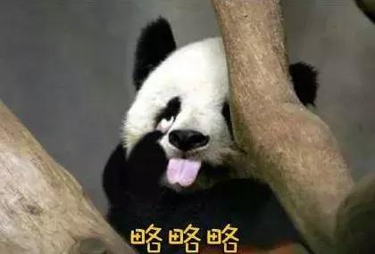 给娃取名太复杂了,给娃取名字冷门