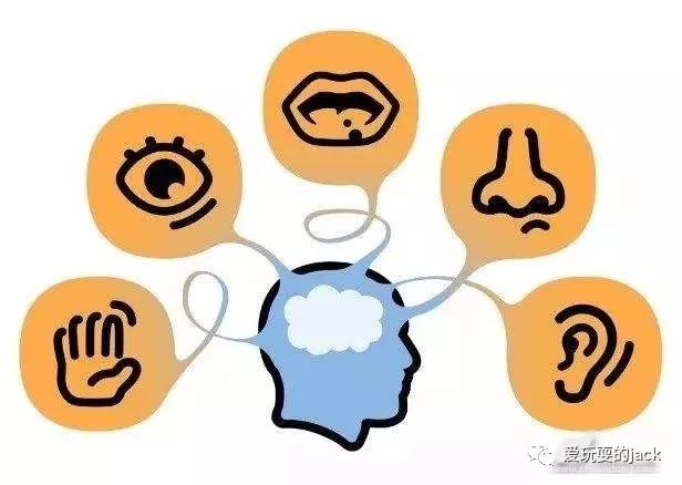 传感器技术发展简史,传感器简史