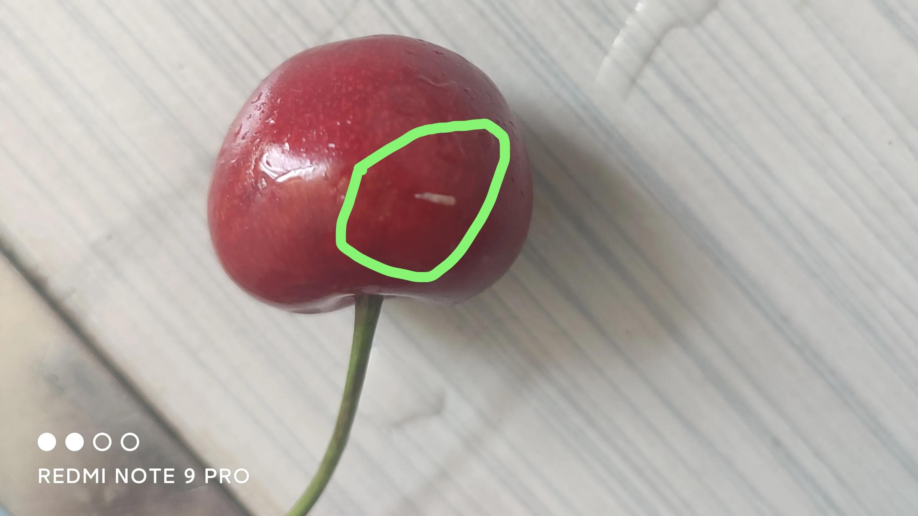 樱桃真的有虫子吗,所有的大樱桃里都有虫子吗