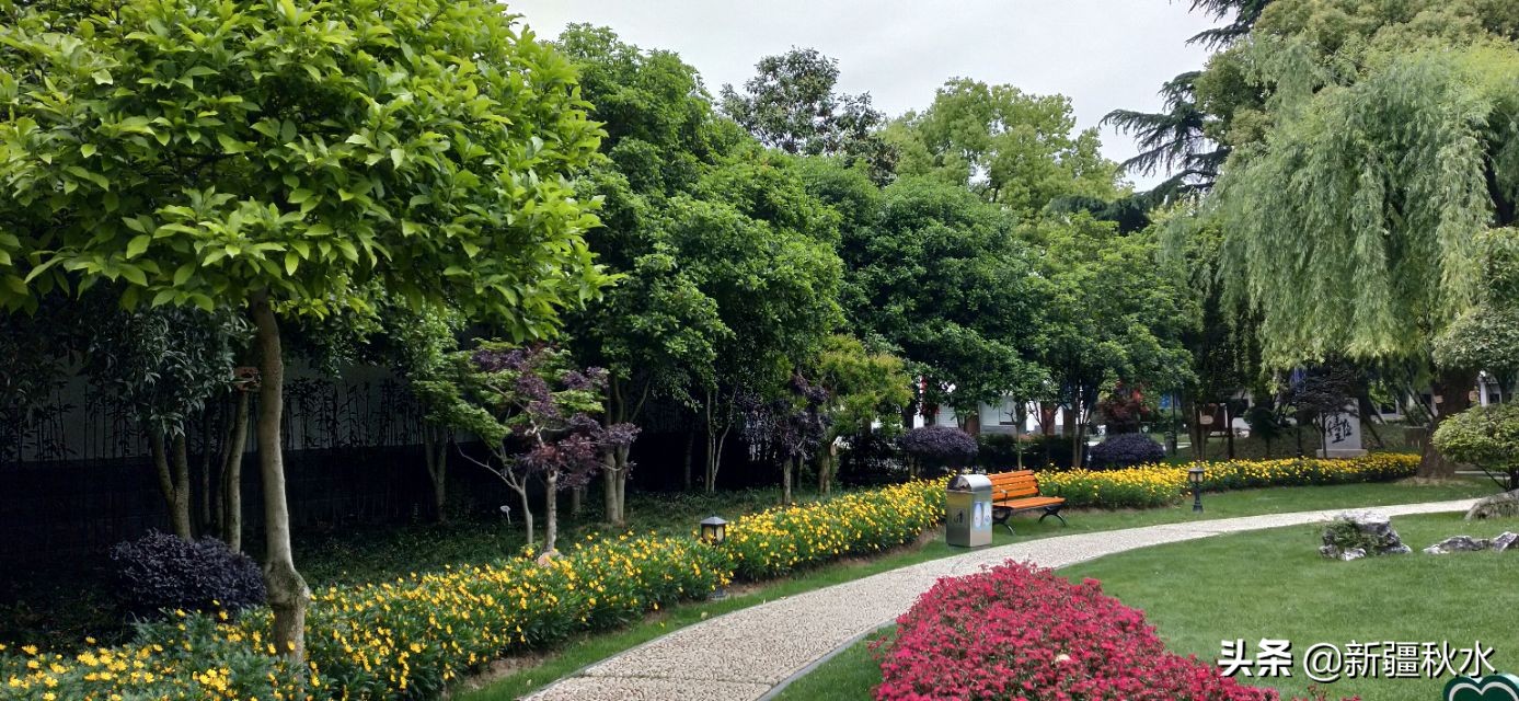 练塘古镇值得去吗,练塘古镇要门票吗