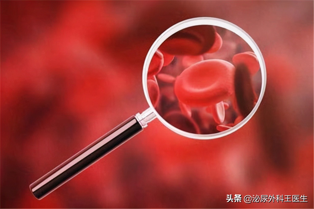 张伯礼无论男女都应该补充叶酸,张伯礼院士谈叶酸